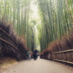 arashiyama