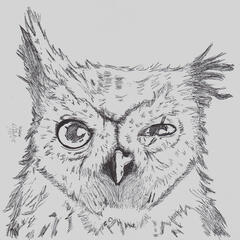 screechowl